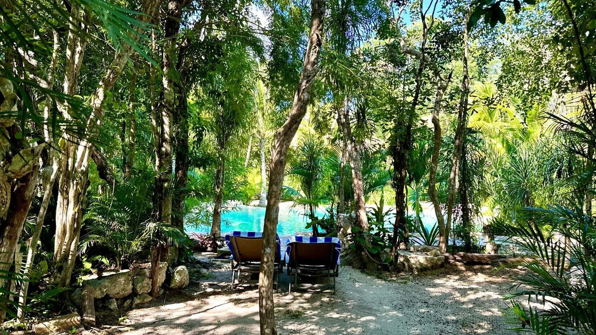 Glamping Bunga Lotus 호텔 툴룸