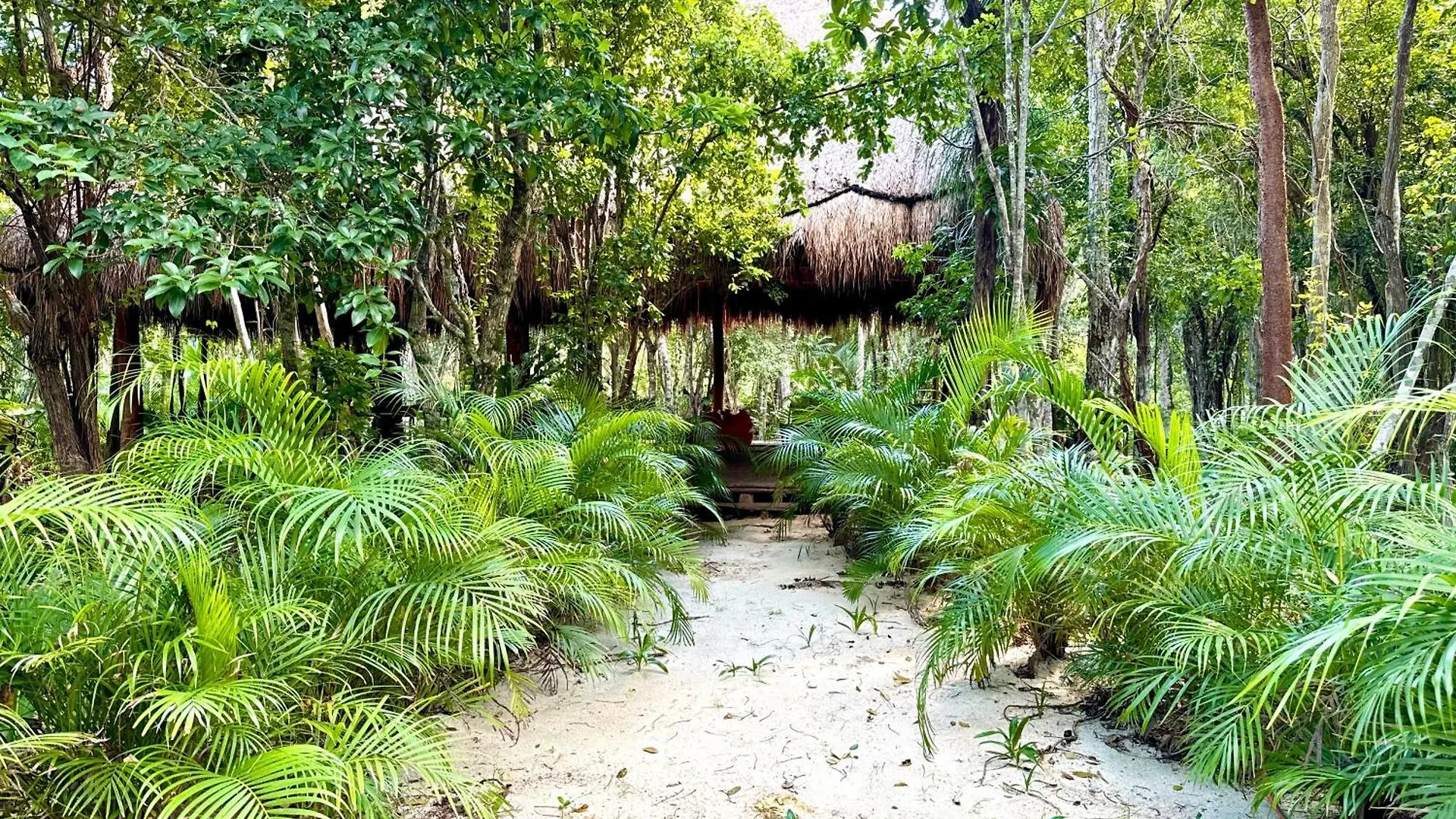 Camping Hotel Glamping Bunga Lotus à Tulum