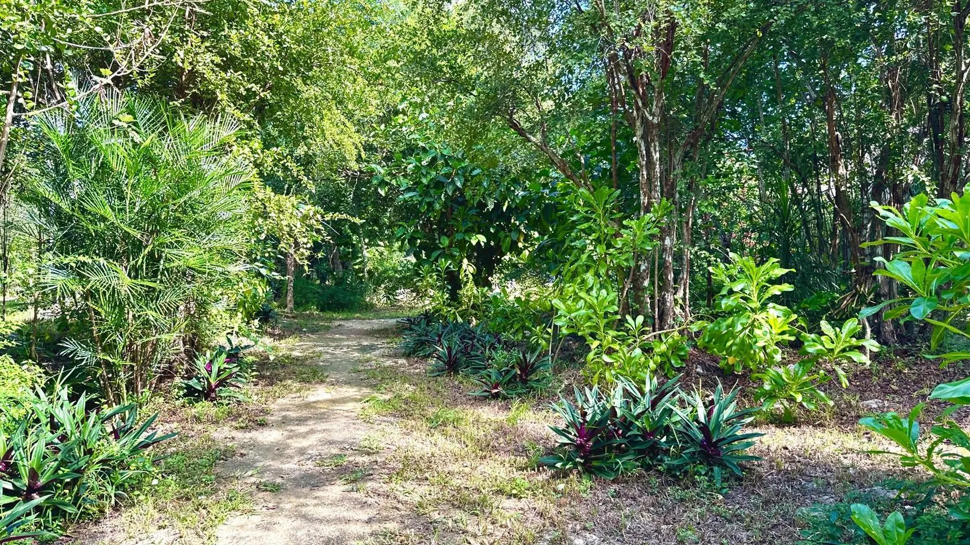 Camping Hotel Glamping Bunga Lotus à Tulum
